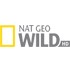 Nat Geo Wild HD